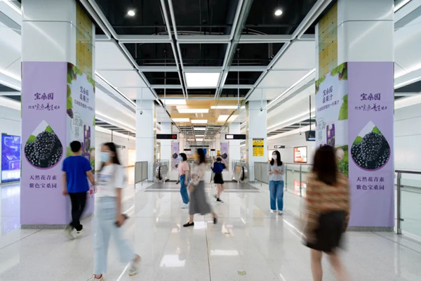 寶桑園桑果汁深圳地鐵廣告